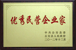 2012年优秀民营企业家